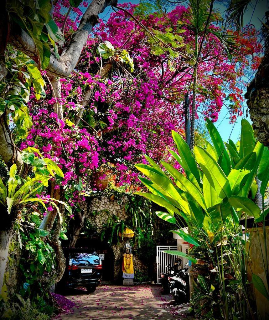 Exquisite Private Villa — Villa Sekala, Sanur, Se Bali 외부 사진